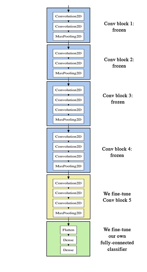 vgg16: fine-tuning